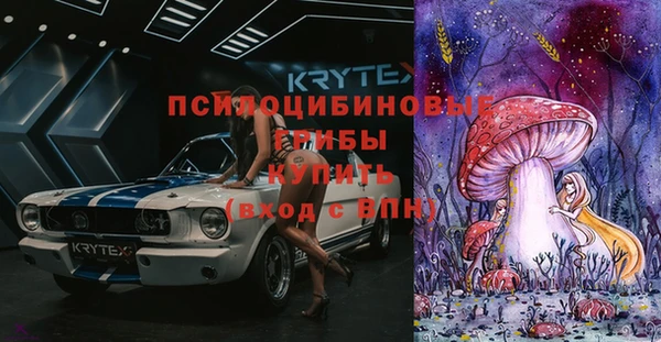 прущий лед Верея