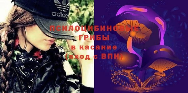 прущий лед Верея