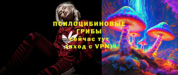 прущий лед Верея